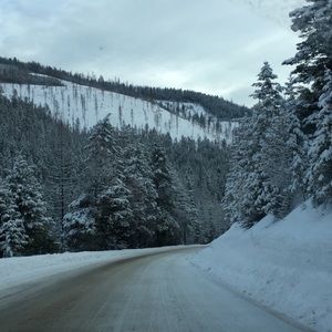 Meet your Posher, Whitney